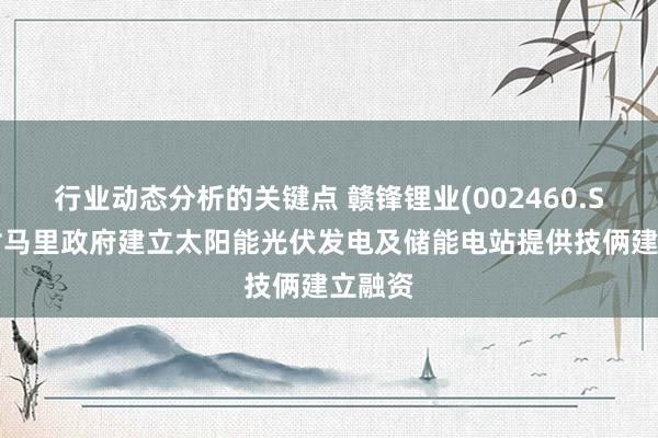 行业动态分析的关键点 赣锋锂业(002460.SZ)：对马里政府建立太阳能光伏发电及储能电站提供技俩建立融资