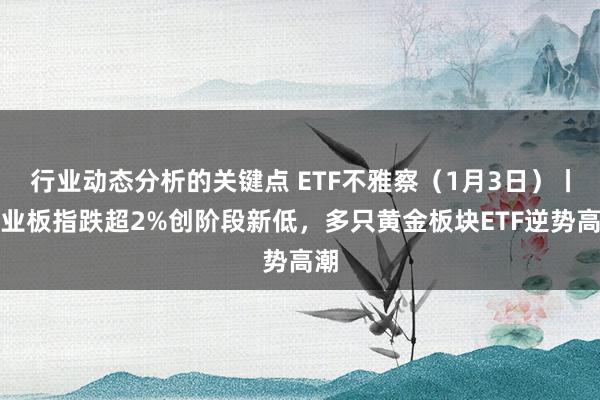 行业动态分析的关键点 ETF不雅察（1月3日）丨创业板指跌超2%创阶段新低，多只黄金板块ETF逆势高潮