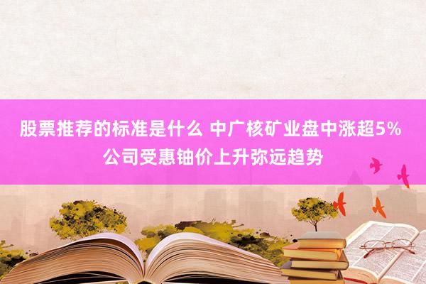 股票推荐的标准是什么 中广核矿业盘中涨超5% 公司受惠铀价上升弥远趋势