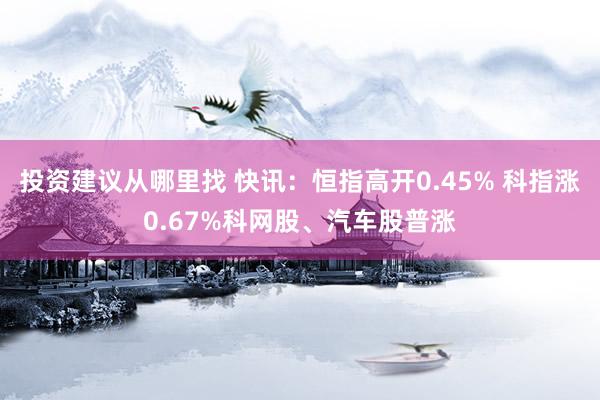 投资建议从哪里找 快讯：恒指高开0.45% 科指涨0.67%科网股、汽车股普涨