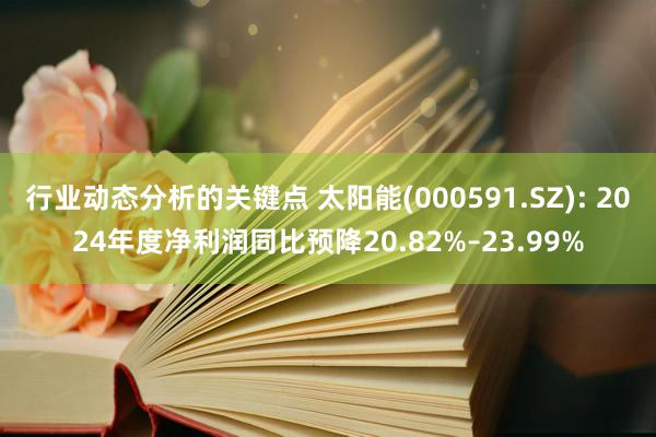 行业动态分析的关键点 太阳能(000591.SZ): 2024年度净利润同比预降20.82%–23.99%