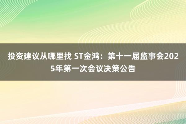 投资建议从哪里找 ST金鸿：第十一届监事会2025年第一次会议决策公告