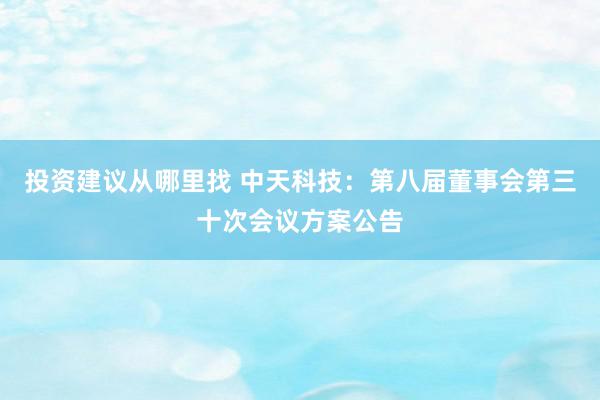 投资建议从哪里找 中天科技：第八届董事会第三十次会议方案公告