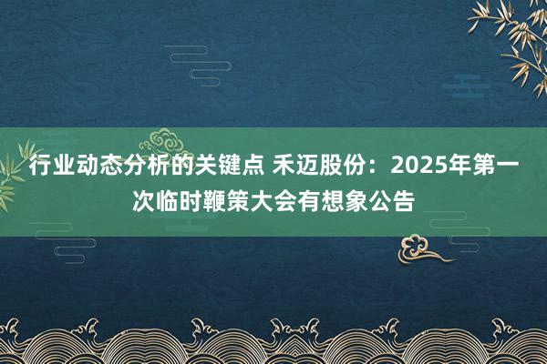 行业动态分析的关键点 禾迈股份：2025年第一次临时鞭策大会有想象公告