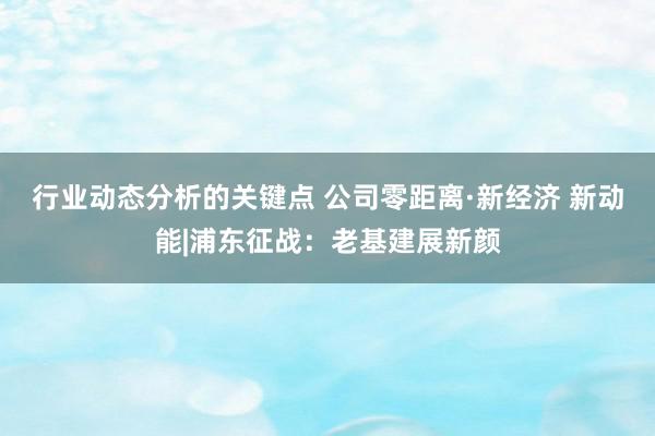 行业动态分析的关键点 公司零距离·新经济 新动能|浦东征战：老基建展新颜