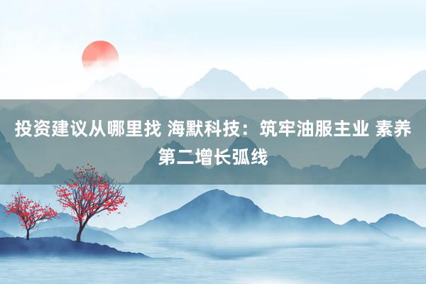 投资建议从哪里找 海默科技：筑牢油服主业 素养第二增长弧线