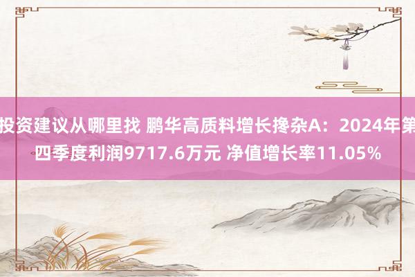 投资建议从哪里找 鹏华高质料增长搀杂A：2024年第四季度利润9717.6万元 净值增长率11.05%