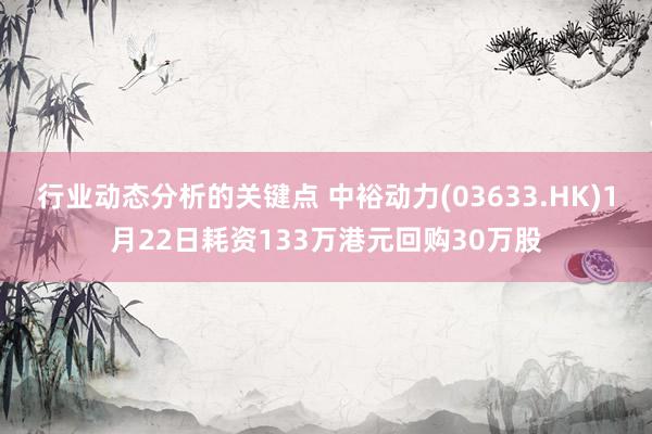 行业动态分析的关键点 中裕动力(03633.HK)1月22日耗资133万港元回购30万股