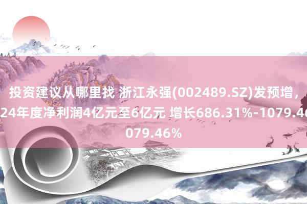 投资建议从哪里找 浙江永强(002489.SZ)发预增，2024年度净利润4亿元至6亿元 增长686.31%-1079.46%