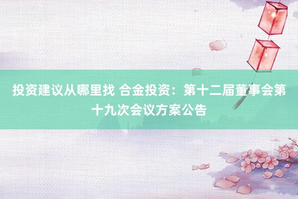 投资建议从哪里找 合金投资：第十二届董事会第十九次会议方案公告