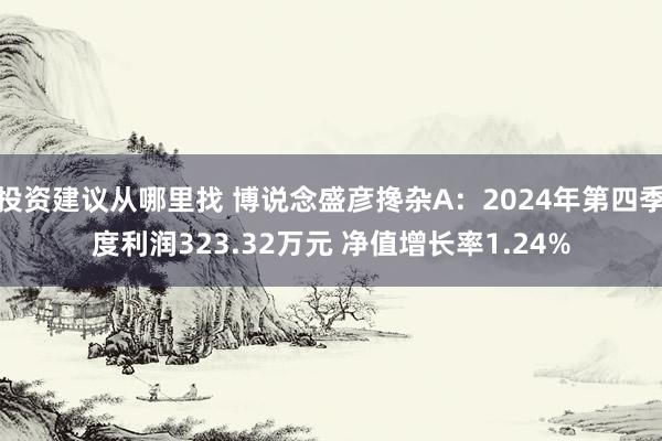 投资建议从哪里找 博说念盛彦搀杂A：2024年第四季度利润323.32万元 净值增长率1.24%