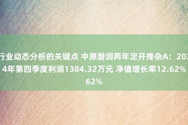 行业动态分析的关键点 中原磐润两年定开搀杂A：2024年第四季度利润1384.32万元 净值增长率12.62%