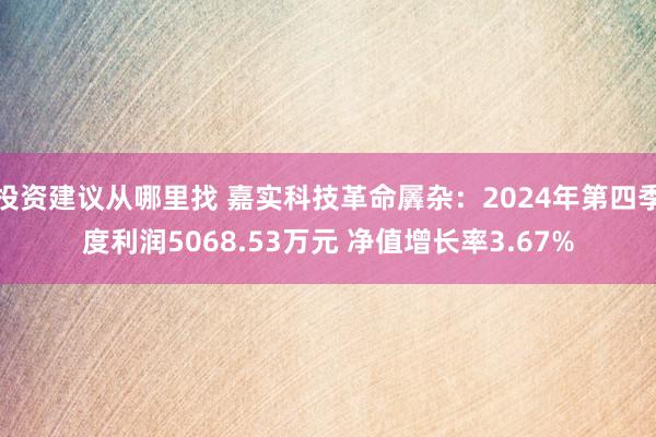 投资建议从哪里找 嘉实科技革命羼杂：2024年第四季度利润5068.53万元 净值增长率3.67%