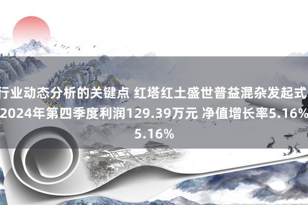 行业动态分析的关键点 红塔红土盛世普益混杂发起式：2024年第四季度利润129.39万元 净值增长率5.16%