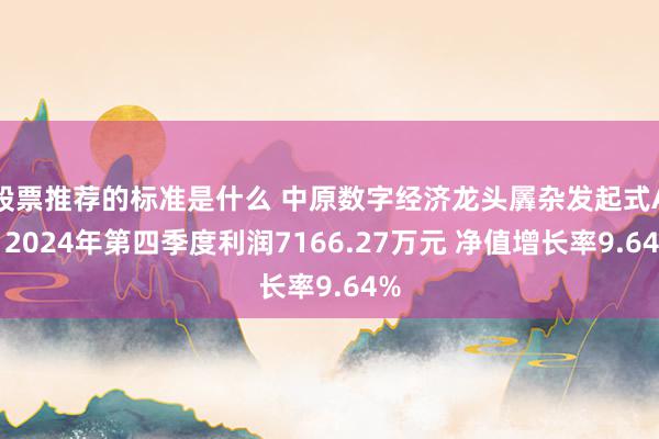 股票推荐的标准是什么 中原数字经济龙头羼杂发起式A：2024年第四季度利润7166.27万元 净值增长率9.64%