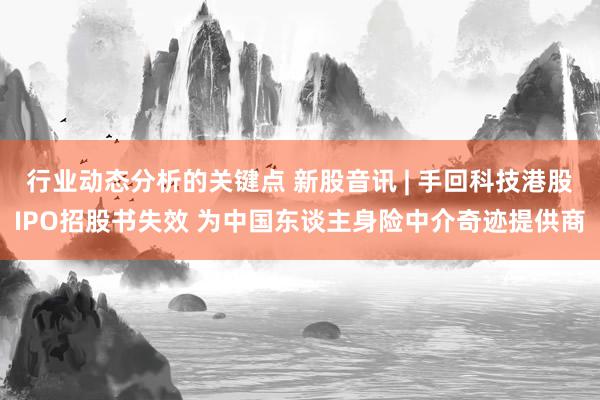 行业动态分析的关键点 新股音讯 | 手回科技港股IPO招股书失效 为中国东谈主身险中介奇迹提供商