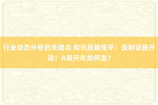 行业动态分析的关键点 和讯投顾张平：反制设施开动！A股开年如何走？