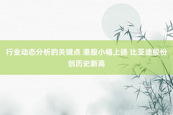 行业动态分析的关键点 港股小幅上扬 比亚迪股份创历史新高