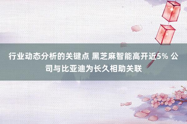 行业动态分析的关键点 黑芝麻智能高开近5% 公司与比亚迪为长久相助关联