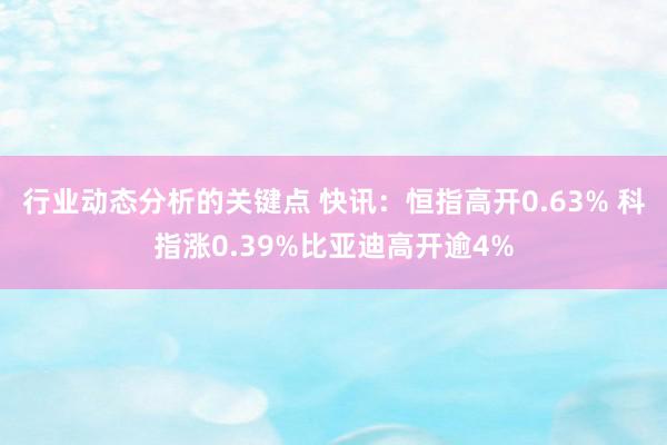 行业动态分析的关键点 快讯：恒指高开0.63% 科指涨0.39%比亚迪高开逾4%