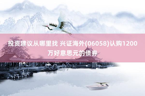 投资建议从哪里找 兴证海外(06058)认购1200万好意思元的债券