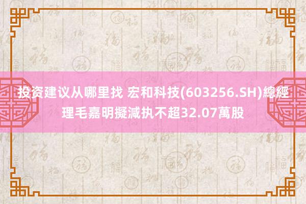 投资建议从哪里找 宏和科技(603256.SH)總經理毛嘉明擬減执不超32.07萬股