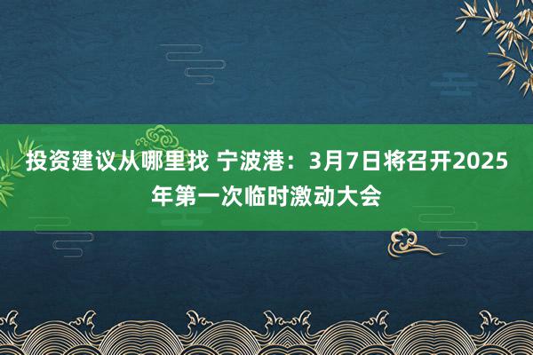 投资建议从哪里找 宁波港：3月7日将召开2025年第一次临时激动大会