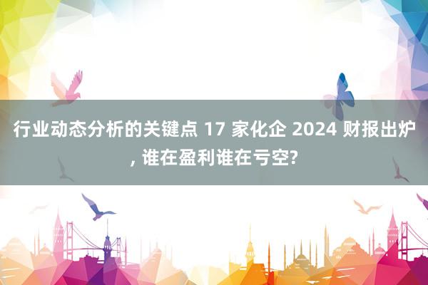 行业动态分析的关键点 17 家化企 2024 财报出炉, 谁在盈利谁在亏空?