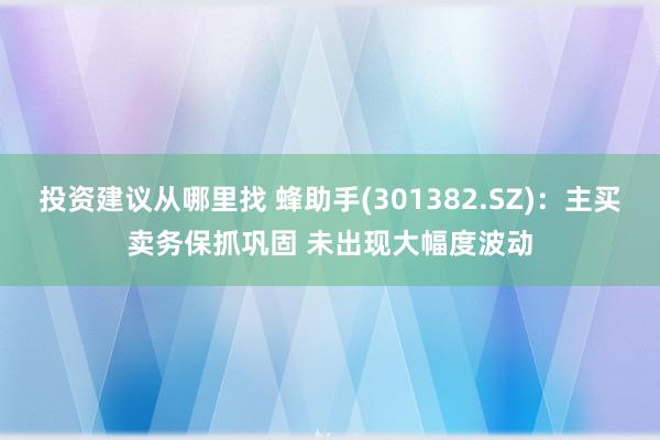 投资建议从哪里找 蜂助手(301382.SZ)：主买卖务保抓巩固 未出现大幅度波动