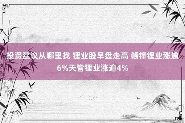 投资建议从哪里找 锂业股早盘走高 赣锋锂业涨逾6%天皆锂业涨逾4%