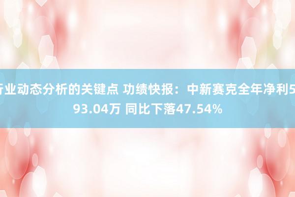 行业动态分析的关键点 功绩快报：中新赛克全年净利5993.04万 同比下落47.54%