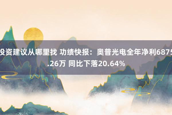 投资建议从哪里找 功绩快报：奥普光电全年净利6875.26万 同比下落20.64%