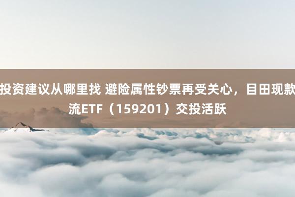 投资建议从哪里找 避险属性钞票再受关心，目田现款流ETF（159201）交投活跃