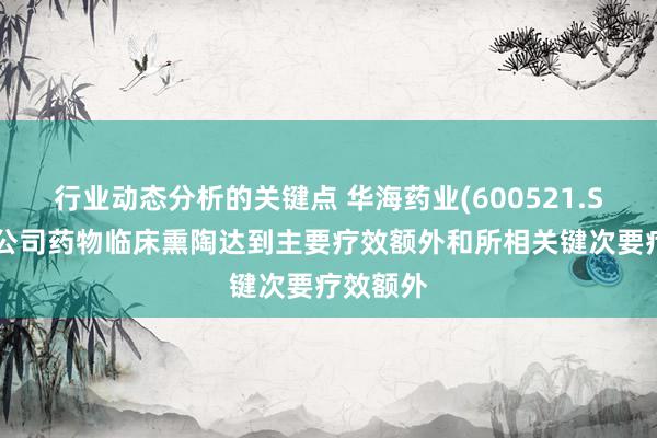 行业动态分析的关键点 华海药业(600521.SH)：子公司药物临床熏陶达到主要疗效额外和所相关键次要疗效额外