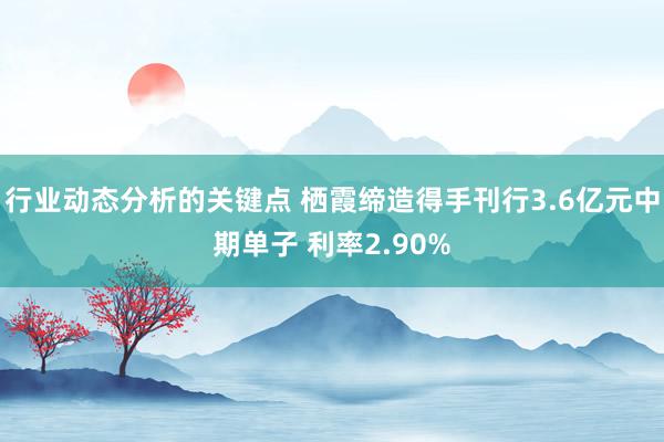 行业动态分析的关键点 栖霞缔造得手刊行3.6亿元中期单子 利率2.90%