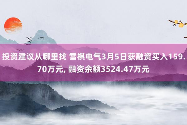 投资建议从哪里找 雪祺电气3月5日获融资买入159.70万元, 融资余额3524.47万元