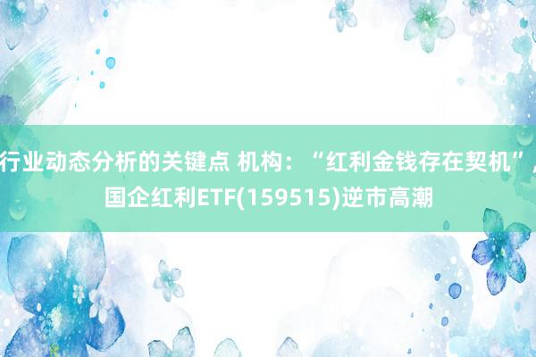 行业动态分析的关键点 机构：“红利金钱存在契机”，国企红利ETF(159515)逆市高潮