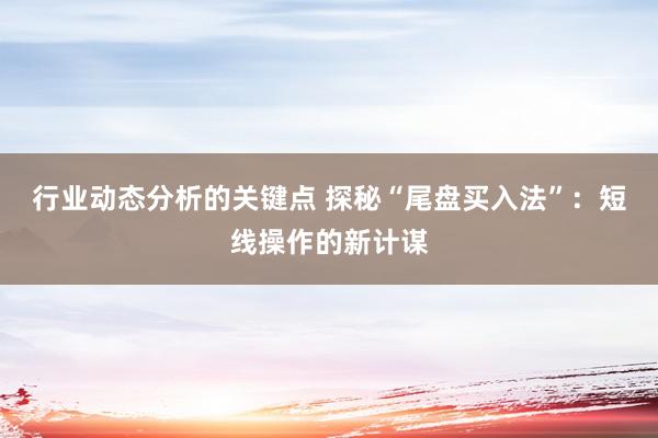 行业动态分析的关键点 探秘“尾盘买入法”：短线操作的新计谋