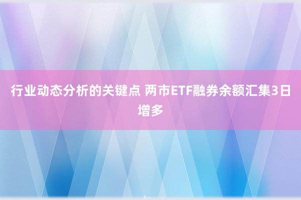 行业动态分析的关键点 两市ETF融券余额汇集3日增多