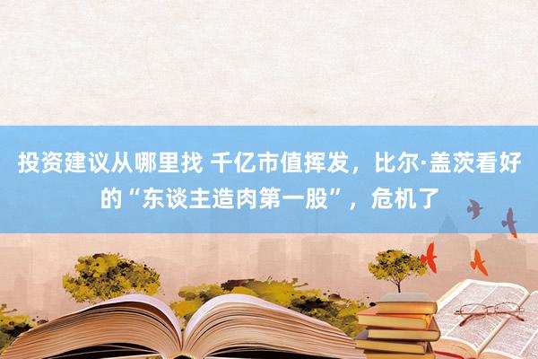 投资建议从哪里找 千亿市值挥发，比尔·盖茨看好的“东谈主造肉第一股”，危机了