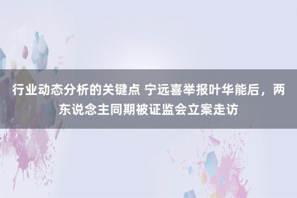 行业动态分析的关键点 宁远喜举报叶华能后，两东说念主同期被证监会立案走访