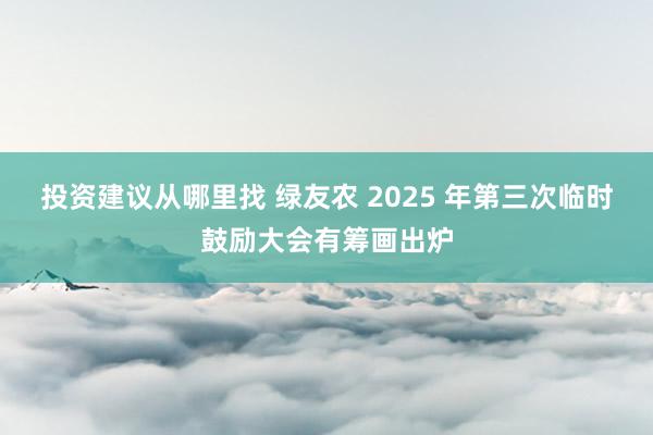 投资建议从哪里找 绿友农 2025 年第三次临时鼓励大会有筹画出炉