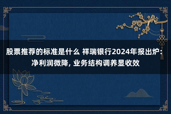 股票推荐的标准是什么 祥瑞银行2024年报出炉: 净利润微降, 业务结构调养显收效